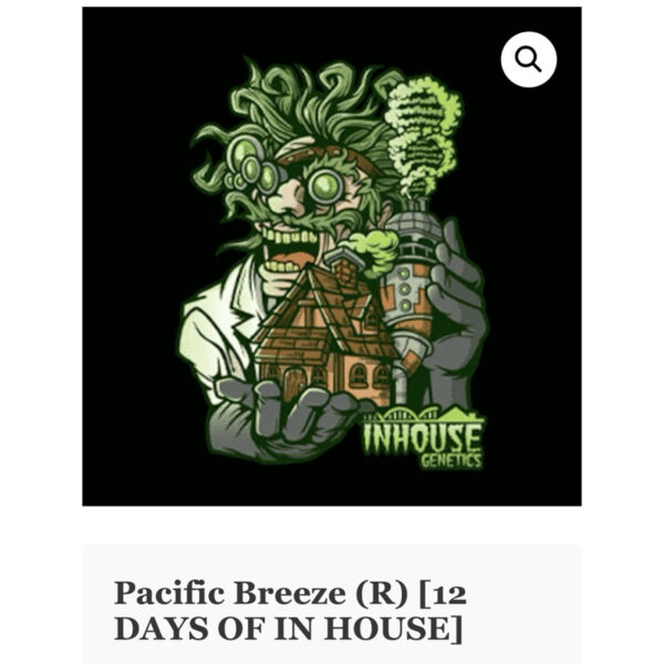 เมล็ดกัญชา Pacific Breeze (Reg) 12/2024* สุ่มเพศใหม่ล่าสุด - In House Genetics [12 DAYS OF IN HOUSE] - Image 2