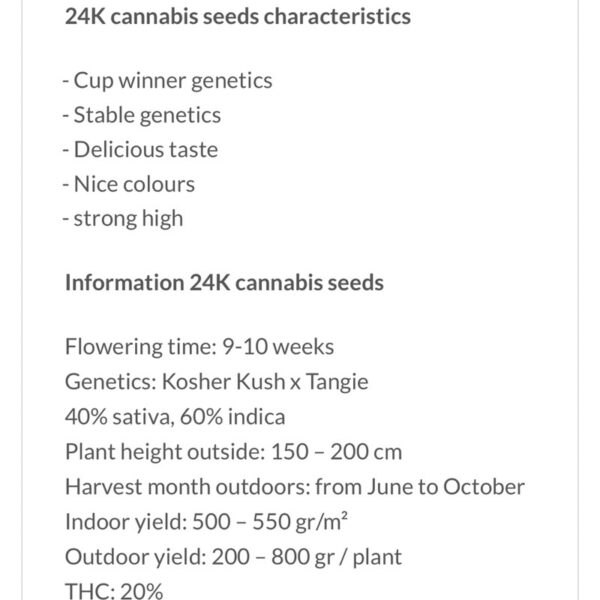 เมล็ดกัญชา 24K Gold (Fem) - Seeds Genetics.Co - Image 3