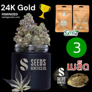 เมล็ดกัญชา 24K Gold (Fem) - Seeds Genetics.Co