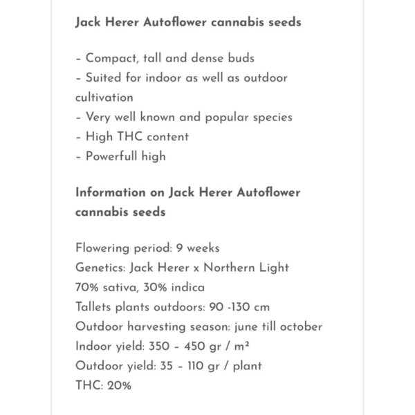 เมล็ดกัญชา Jack Herer (Auto) - Seeds Genetics.Co - Image 5