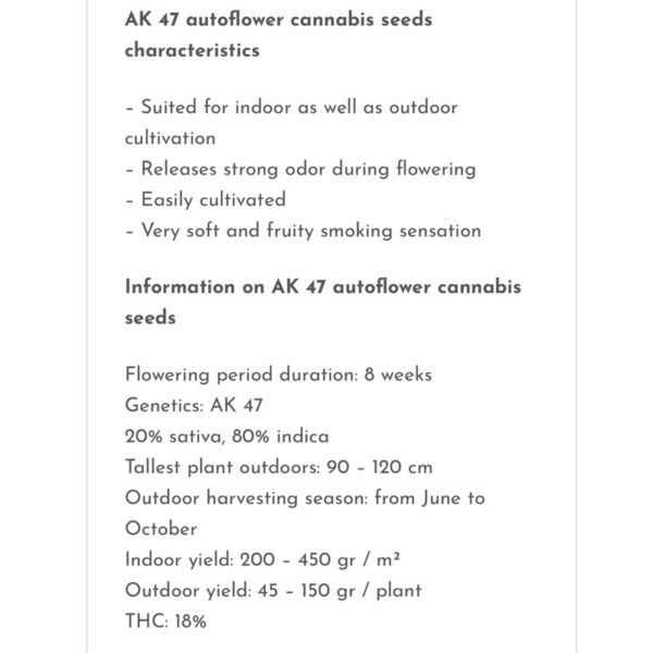 เมล็ดกัญชา AK47 (Auto) หรือ AK 420 -  Seeds Genetics.Co - Image 3