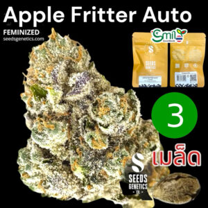 เมล็ดกัญชา Apple Fritter (Auto) - Seeds Genetics.Co