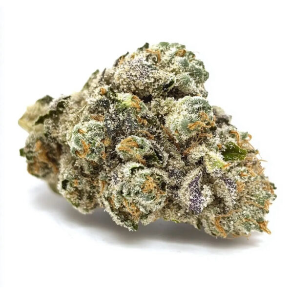 เมล็ดกัญชา Apple Fritter (Auto) - Seeds Genetics.Co - Image 2