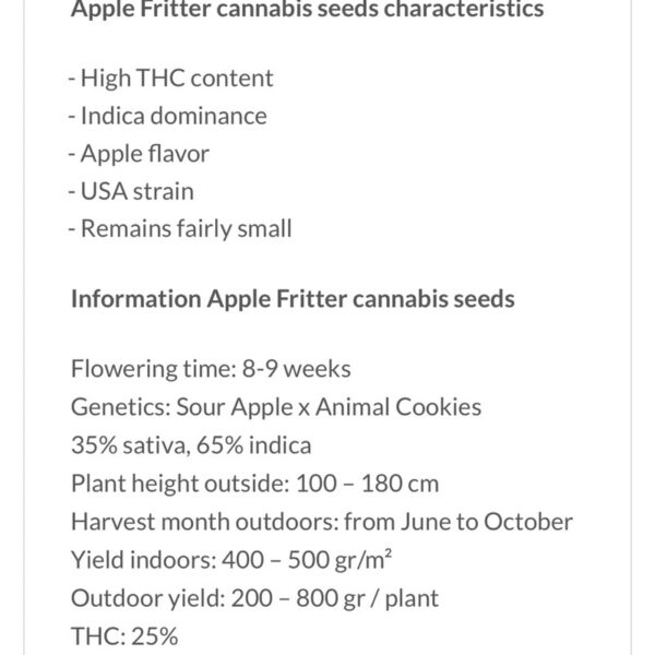 เมล็ดกัญชา Apple Fritter (Fem) - Seeds Genetics.Co - Image 3
