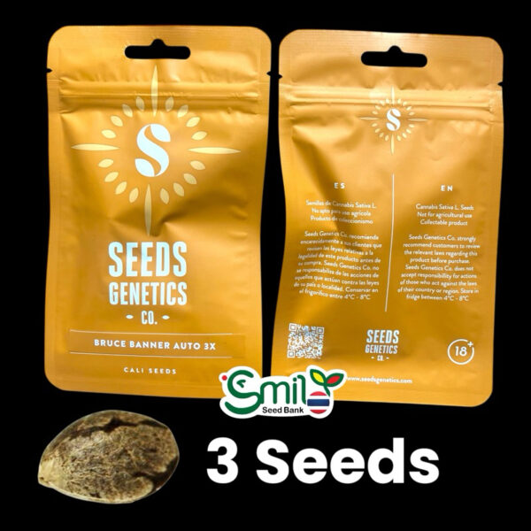 เมล็ดกัญชา Bruce Banner (Auto) - Seeds Genetics.Co - Image 3