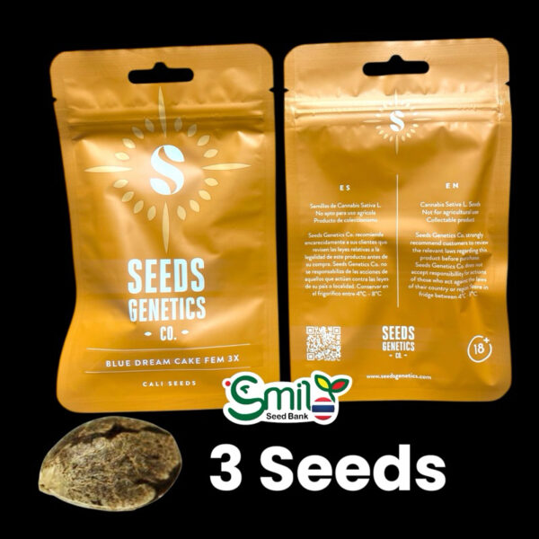 เมล็ดกัญชา Blue Dream Cake (FEM) ใหม่ 2025 * - Seeds Genetics.Co - Image 5