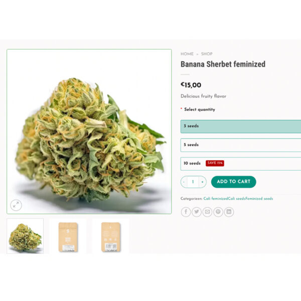 เมล็ดกัญชา Banana Sherbet (Fem) - Seeds Genetics.Co - Image 4