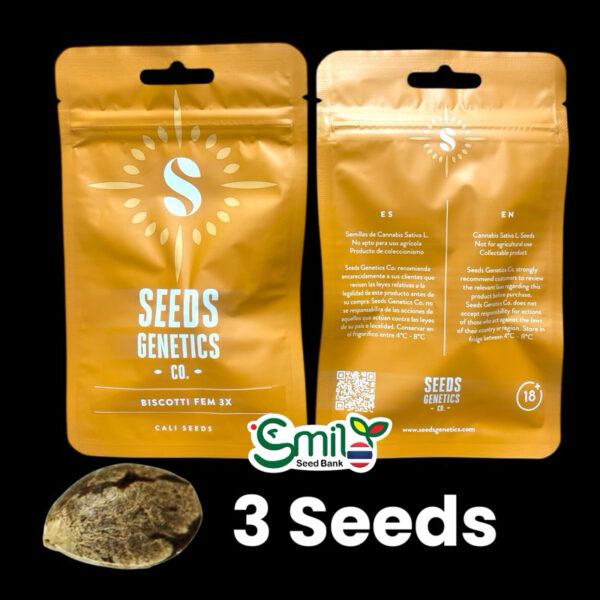 เมล็ดกัญชา Biscotti (Fem) ใหม่* - Seeds Genetics.Co - Image 7