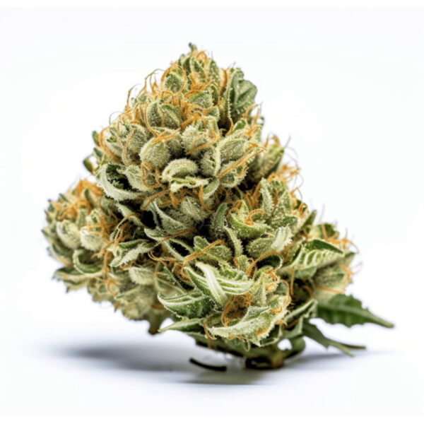 เมล็ดกัญชา Blue Dream Cake (Auto) - Seeds Genetics.Co - Image 3