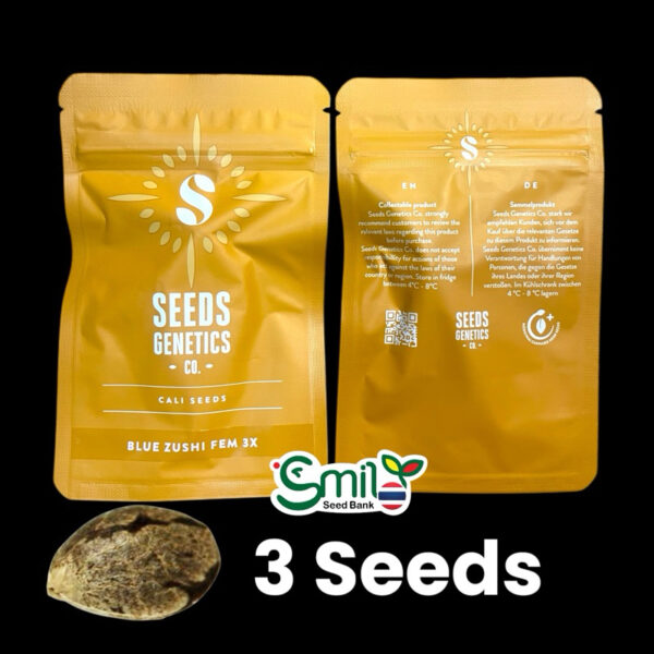 เมล็ดกัญชา Blue Zushi (Fem) ใหม่* - Seeds Genetics.Co - Image 5