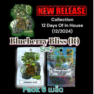 เมล็ดกัญชา Blueberry Bliss (Reg) 12/2024* สุ่มเพศใหม่ล่าสุด - In House Genetics