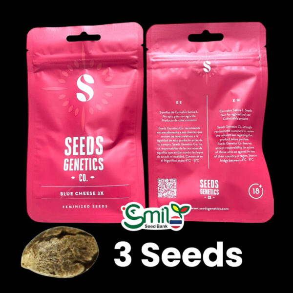 เมล็ดกัญชา Blue cheese (Fem) - Seeds Genetics.Co - Image 7