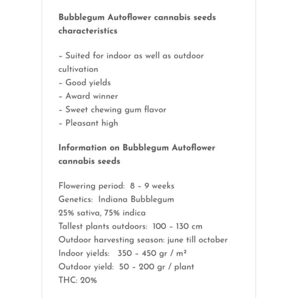 เมล็ดกัญชา Bubblegum (Auto) - Seeds Genetics.Co - Image 7