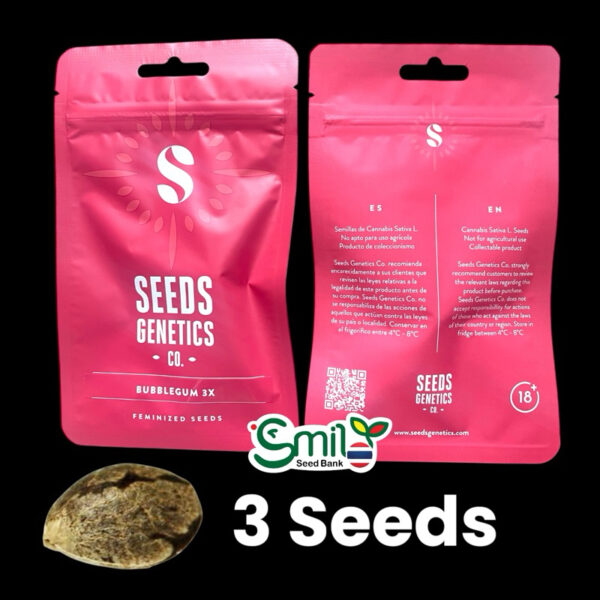 เมล็ดกัญชา Bubble Gum (Fem) - Seeds Genetics.Co - Image 5