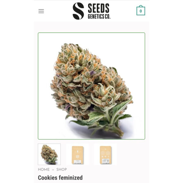 เมล็ดกัญชา Cookies (Fem) - Seeds Genetics.Co - Image 3