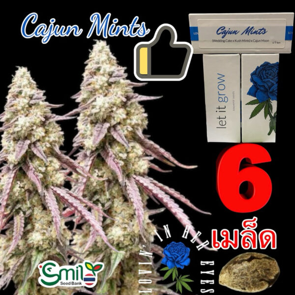 เมล็ดกัญชา Cajun Mints (Fem) - Loving In Her Eyes Seeds