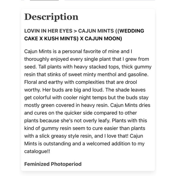 เมล็ดกัญชา Cajun Mints (Fem) - Loving In Her Eyes Seeds - Image 4