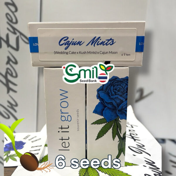 เมล็ดกัญชา Cajun Mints (Fem) - Loving In Her Eyes Seeds - Image 3