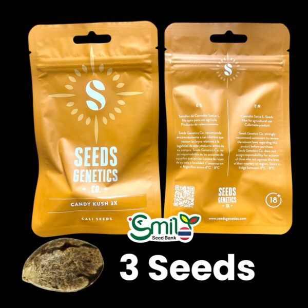 เมล็ดกัญชา Candy Kush (Fem) - Seeds Genetics.Co - Image 3