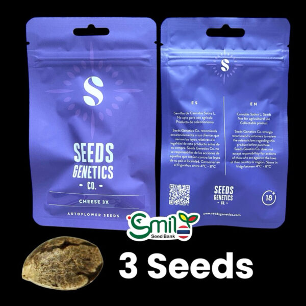 เมล็ดกัญชา Cheese (Auto) - Seeds Genetics.Co - Image 6