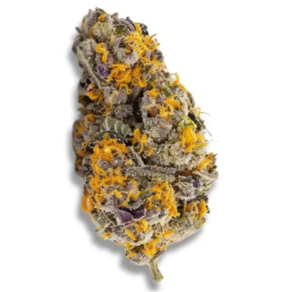 เมล็ดกัญชา Cherry Punch (Fem) - Seeds Genetics.Co  ใหม่ล่าสุด 2024* - Image 2