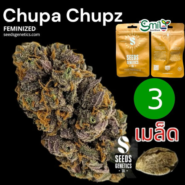 เมล็ดกัญชา Chupa Chupz (Fem) ใหม่* - Seeds Genetics.Co