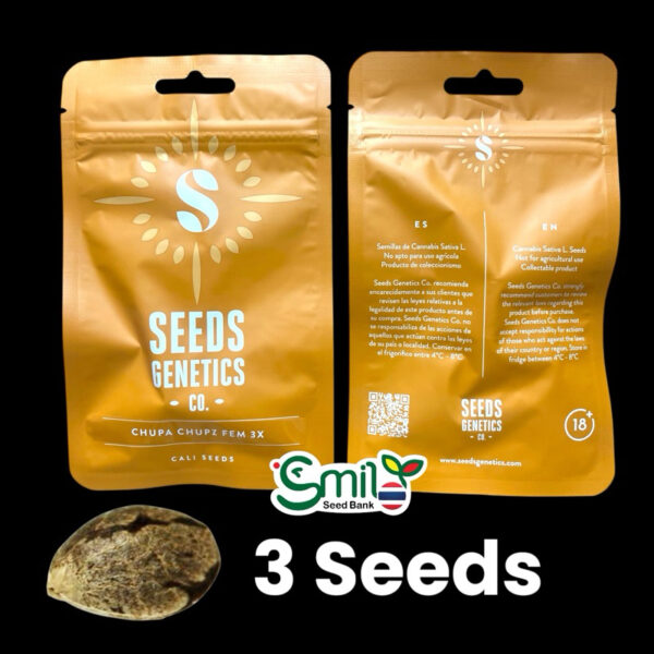 เมล็ดกัญชา Chupa Chupz (Fem) ใหม่* - Seeds Genetics.Co - Image 6