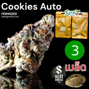เมล็ดกัญชา Cookies (Auto) - Seeds Genetics.Co
