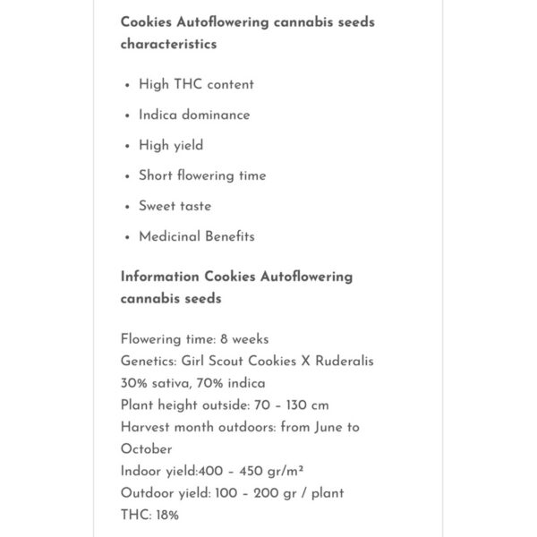 เมล็ดกัญชา Cookies (Auto) - Seeds Genetics.Co - Image 5