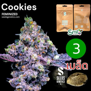 เมล็ดกัญชา Cookies (Fem) - Seeds Genetics.Co