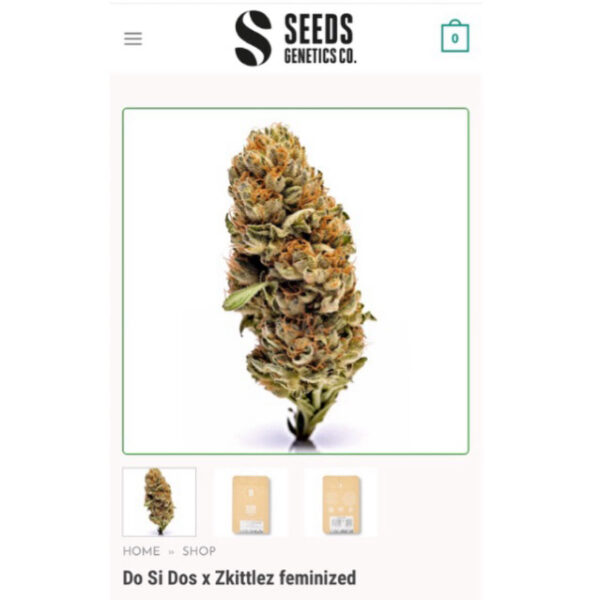เมล็ดกัญชา Do Si Dos x Zkittlez (Fem) - Seeds Genetics.Co - Image 3