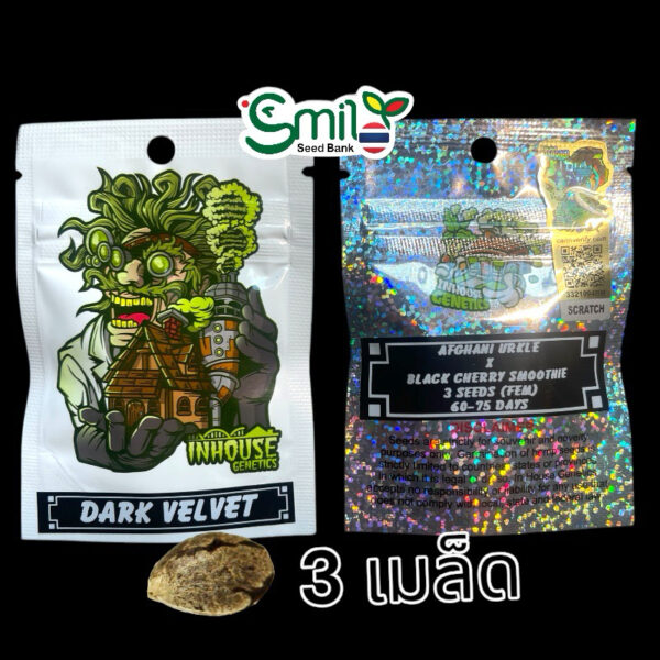 เมล็ดกัญชา Dark Velvet (Fem) 12/2024* ใหม่ - In House Genetics - Image 6