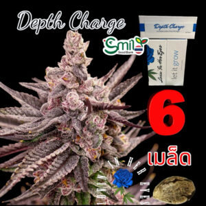 เมล็ดกัญชา Depth Charge (Fem) - Loving In Her Eyes Seeds