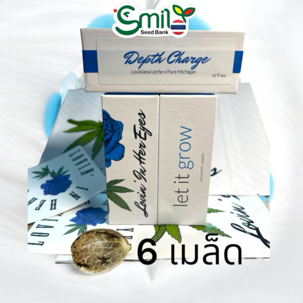 เมล็ดกัญชา Depth Charge (Fem) - Loving In Her Eyes Seeds - Image 6