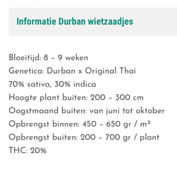 เมล็ดกัญชา  Durban (Fem) - Seeds Genetics .Co - Image 3