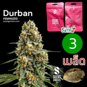 เมล็ดกัญชา  Durban (Fem) - Seeds Genetics .Co