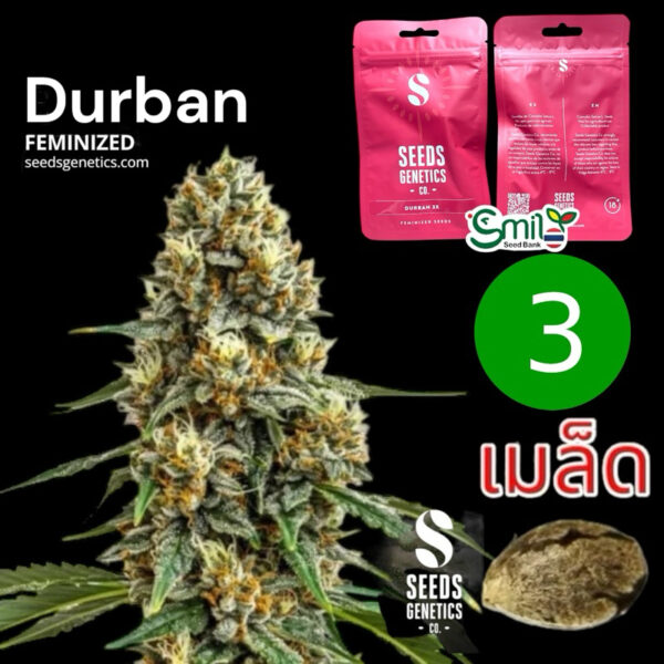 เมล็ดกัญชา  Durban (Fem) - Seeds Genetics .Co
