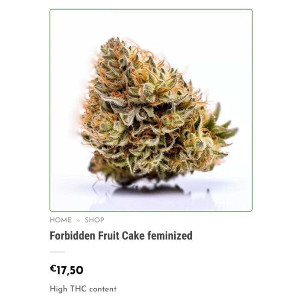 เมล็ดกัญชา Forbidden Fruit Cake (Fem) ใหม่* - Seeds Genetics.Co - Image 3