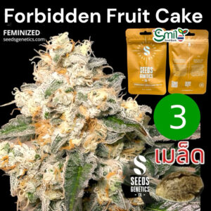 เมล็ดกัญชา Forbidden Fruit Cake (Fem) ใหม่* - Seeds Genetics.Co