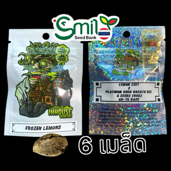 เมล็ดกัญชา Frozen Lemons (Reg) 12/2024* สุ่มเพศใหม่ล่าสุด - In House Genetics [12 DAYS OF IN HOUSE] - Image 5