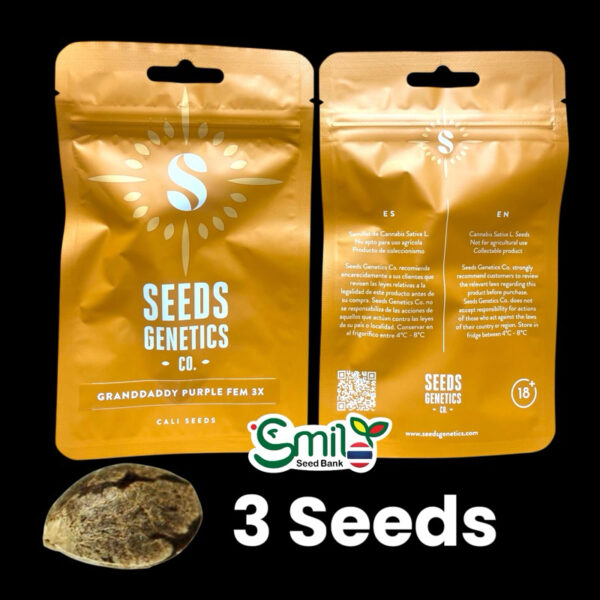 เมล็ดกัญชา Grand Daddy Purple (Fem) - Seeds Genetics.Co - Image 6