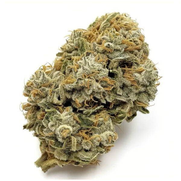 เมล็ดกัญชา GMO (Fem)ใหม่* - Seeds Genetics.Co - Image 2