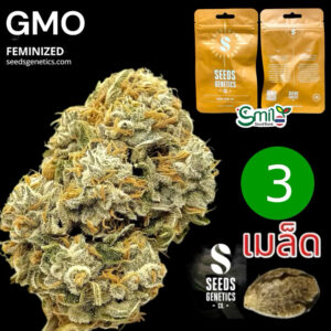 เมล็ดกัญชา GMO (Fem)ใหม่* - Seeds Genetics.Co