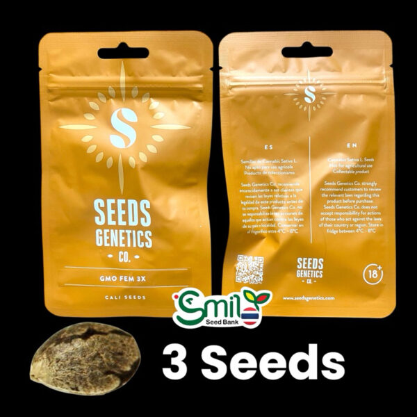 เมล็ดกัญชา GMO (Fem)ใหม่* - Seeds Genetics.Co - Image 6
