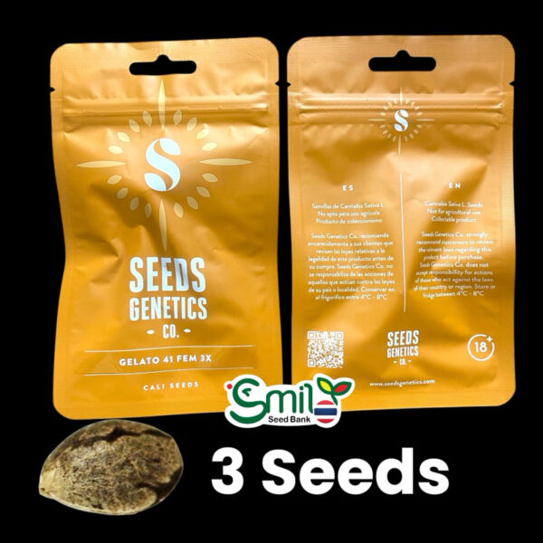 เมล็ดกัญชา Gelato 41 (Fem) - Seeds Genetics.Co - Image 5