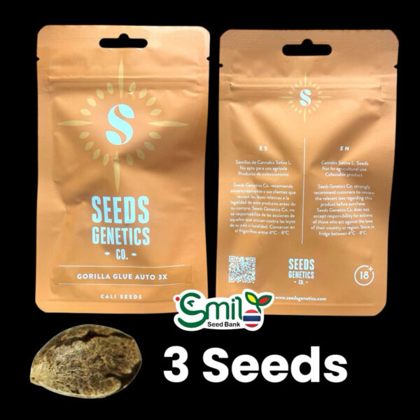 เมล็ดกัญชา Gorilla Glue (Auto) - Seeds Genetics.Co - Image 7