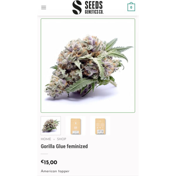 เมล็ดกัญชา Gorilla Glue (Fem) - Seeds Genetics.Co - Image 7