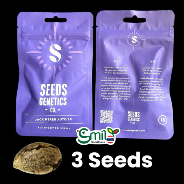 เมล็ดกัญชา Jack Herer (Auto) - Seeds Genetics.Co - Image 6