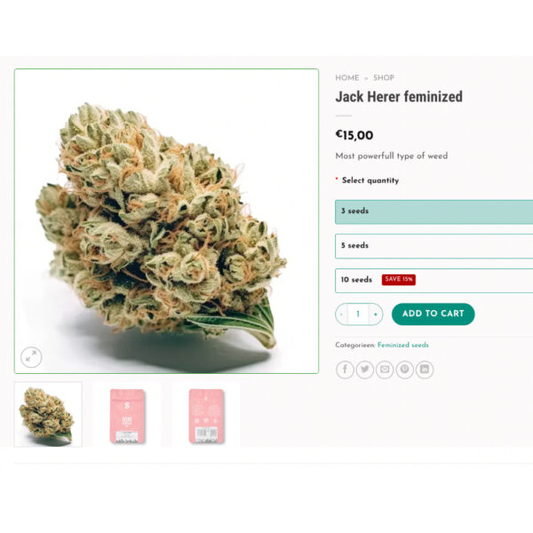 เมล็ดกัญชา Jack Herer (Fem) -Seeds Genetics.Co - Image 4