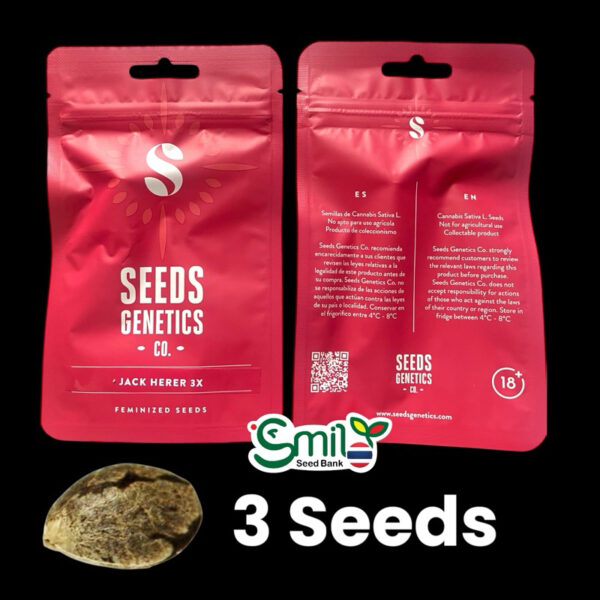 เมล็ดกัญชา Jack Herer (Fem) -Seeds Genetics.Co - Image 5